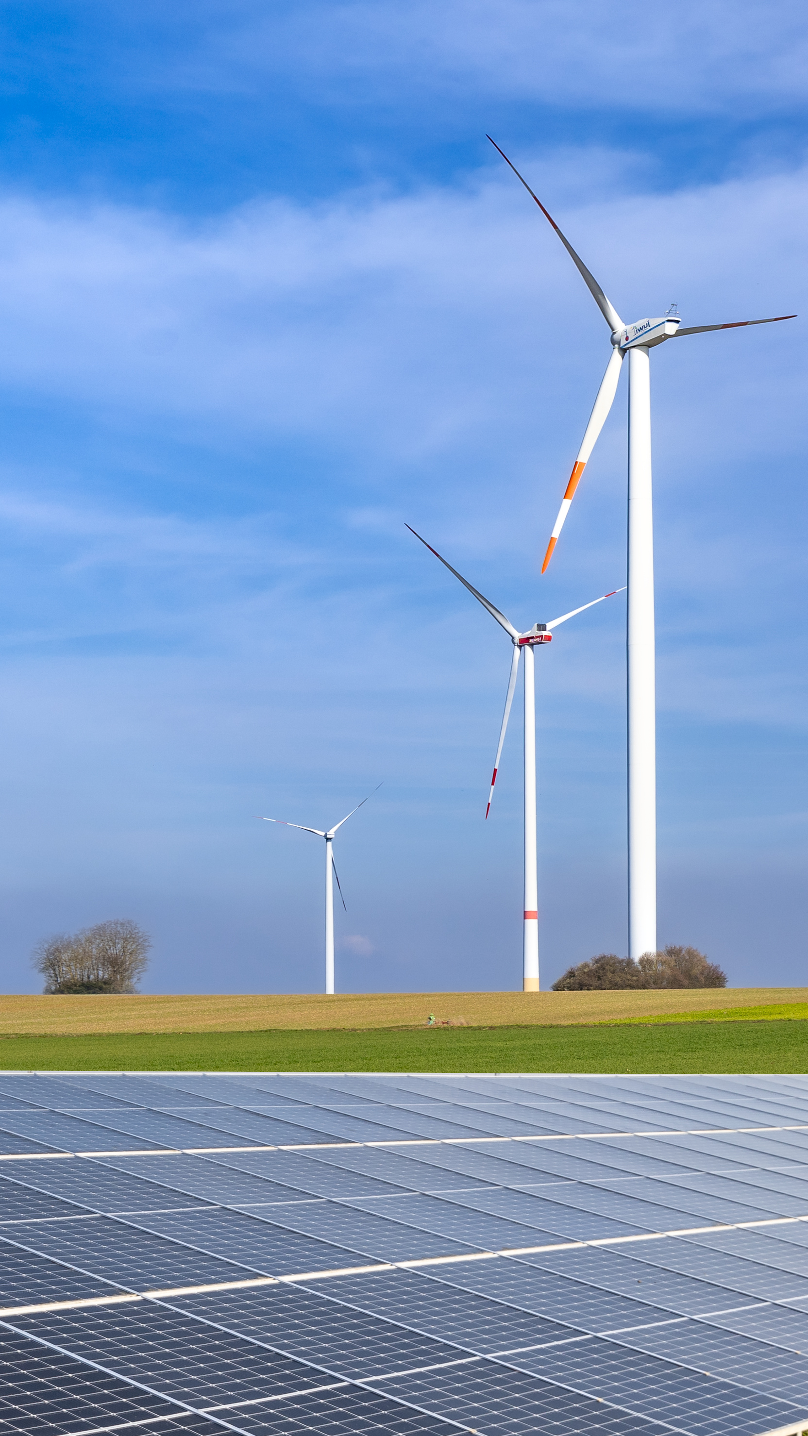 Foto von (c) Rüdiger Hauser.jpg Foto von (c) Rüdiger Hauser.jpg